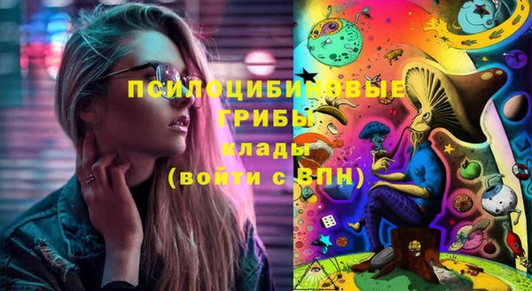 ГАЛЛЮЦИНОГЕННЫЕ ГРИБЫ Ладушкин