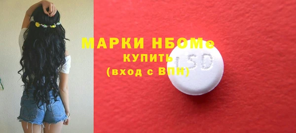 соль ск Кулебаки