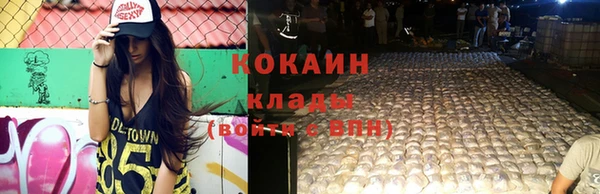 ГАЛЛЮЦИНОГЕННЫЕ ГРИБЫ Ладушкин