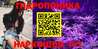 тгк Берёзовский