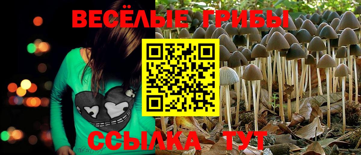 Галлюциногенные грибы GOLDEN TEACHER  купить наркоту  Рассказово  Вход с VPN 