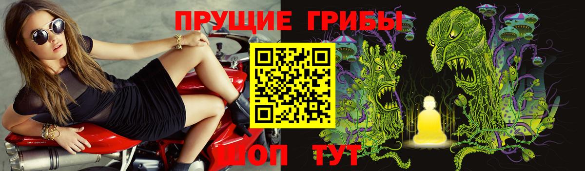 Галлюциногенные грибы Cubensis Рассказово