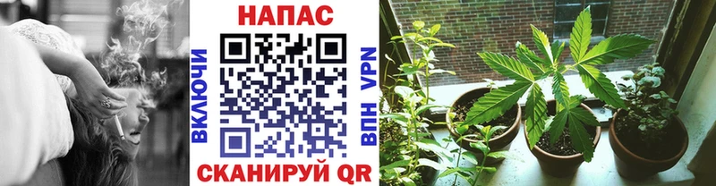 цена наркотик  blacksprut зеркало  Конопля марихуана  Рассказово 